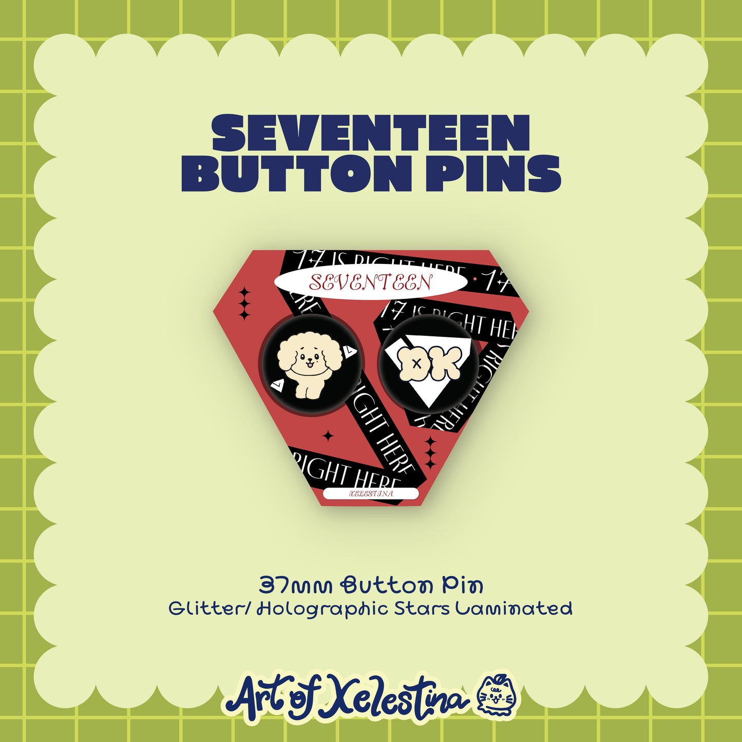 Seventeen Pins