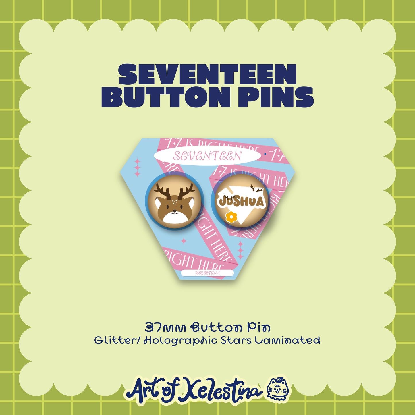 Seventeen Pins