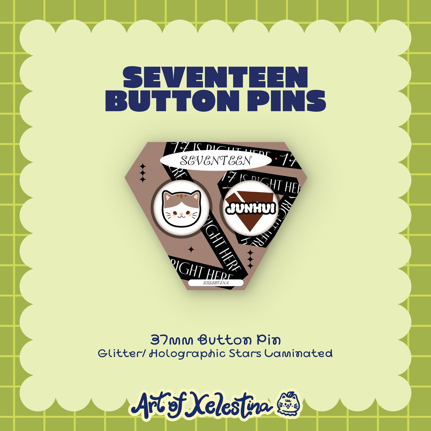 Seventeen Pins
